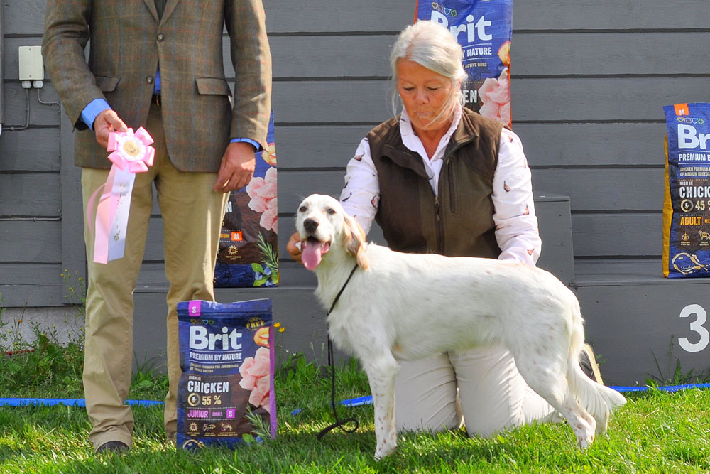 BIR BIS-1 VALP ES 